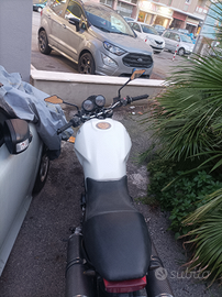 Ducati moster