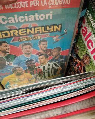 album completi e carte singole adrenalyn panini