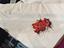 Immagine 1