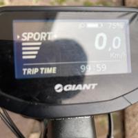 bicicletta  elettrica marca giant