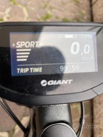 bicicletta  elettrica marca giant