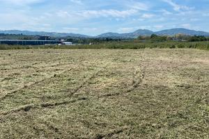 Terreno zona ARTIGIANALE SantAndrea in Casa