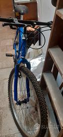 Bike Edition limited 