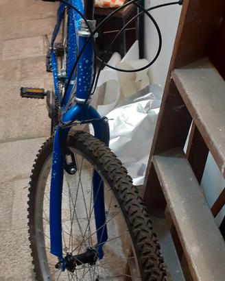 Bike Edition limited 