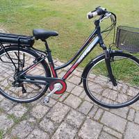 Bicicletta elettrica