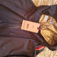 giubbottino  Conte of Florence 