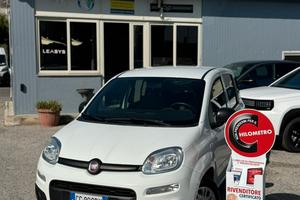 Fiat Panda 1.0 hybrid Van 2 posti N1 (autoccarro)