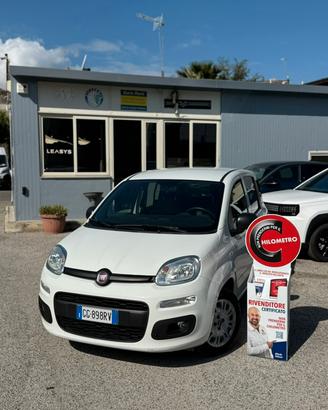 Fiat Panda 1.0 hybrid Van 2 posti N1 (autoccarro)