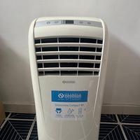 Pinguino condizionatore