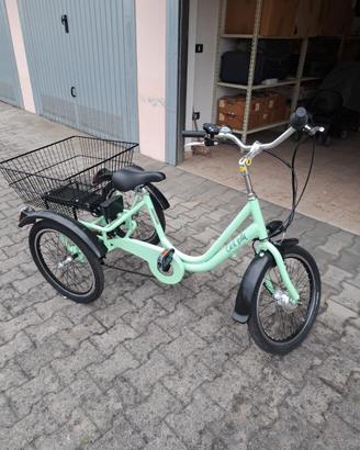 Bicicletta elettrica