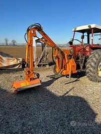 Braccio decespugliatore