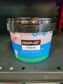 31 vasetti 800ml STUCCO IN PASTA SOLISTA AGUAPLAST