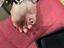 Immagine 4