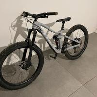 Trek Remedy 9.8