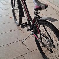   bicicletta da ragazza 