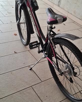   bicicletta da ragazza 