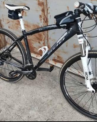 bicicletta mountain bike 