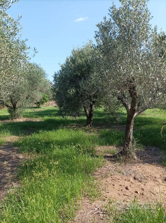 Terreno di 1250 m² a Terracina - Altro