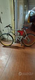 mountain bike Silver Star