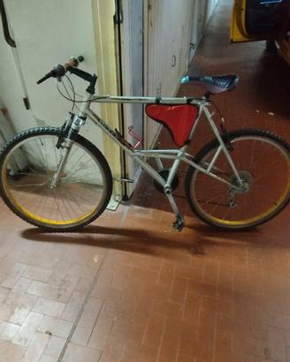 mountain bike Silver Star