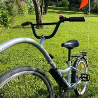 Tandem Trailerbike Bambini