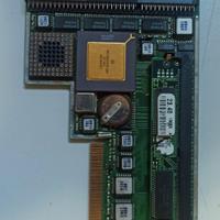 x Amiga 1200 ( blizzard 1230 mk IV 68030 a 50 mhz