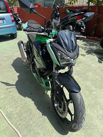 Kawasaki z300