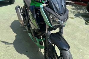 Kawasaki z300