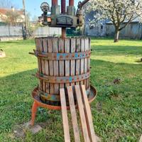 Torchio uva giardino fioriera