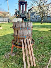 Torchio uva giardino fioriera