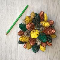 Palla di pigne naturali