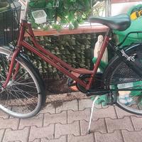 bici donna olandese 