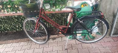 bici donna olandese 