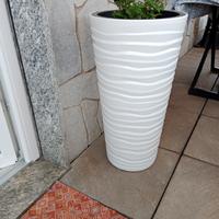  2 portavasi uguali .