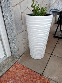  2 portavasi uguali .