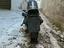Immagine 5