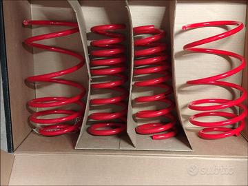 Molle abbassamento Ford Puma ST