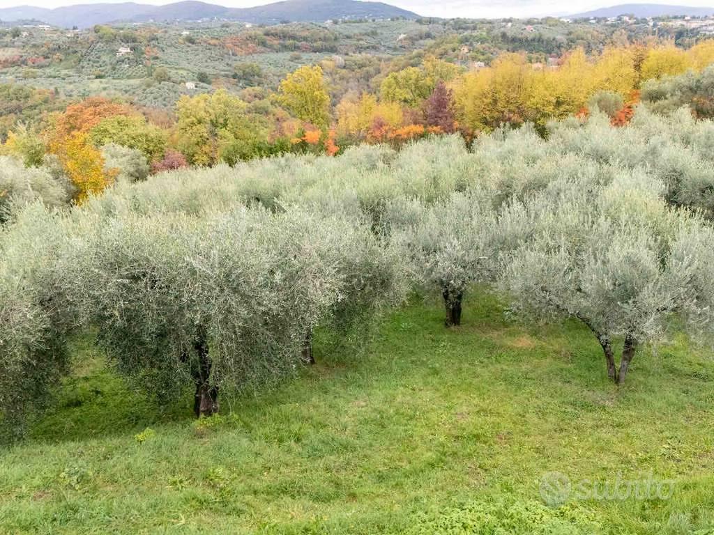 Terreno di 4160 m² a Poggio Nativo - Vista 3