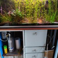 acquari filtro ed altro