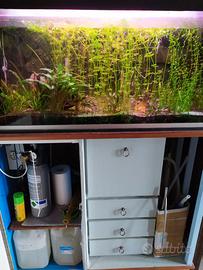 acquari filtro ed altro