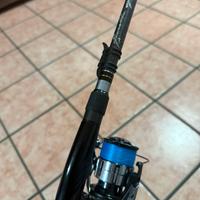 Molix fioretto speciale