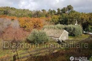 Terreno 5 ettari con fabbricato Piedimonte Etneo