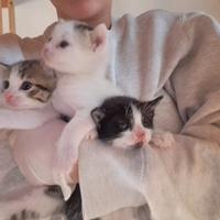 Una mamma per ognuno di loro