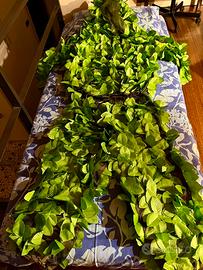 Travestimento da Bushman per adulti