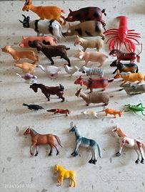 animali varie misure