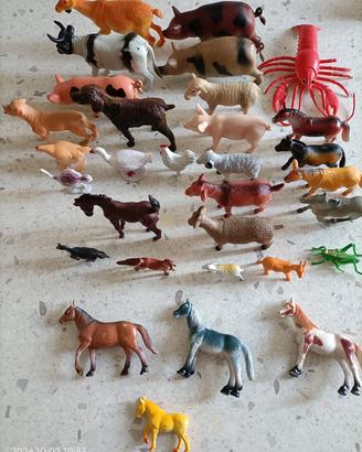 animali varie misure