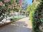 Immagine 17