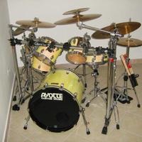 Ayotte Canada Custom