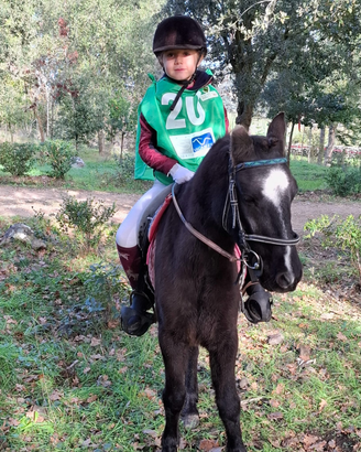 Pony cm 115