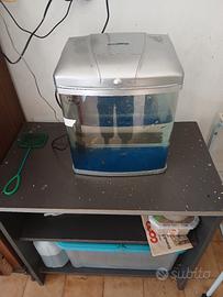 acquario piccolo 